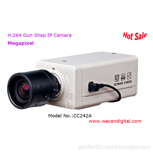 H.264 Megapixel Gun shape IP Camera